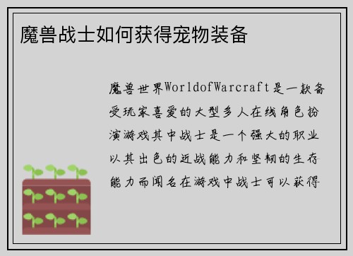 魔兽战士如何获得宠物装备